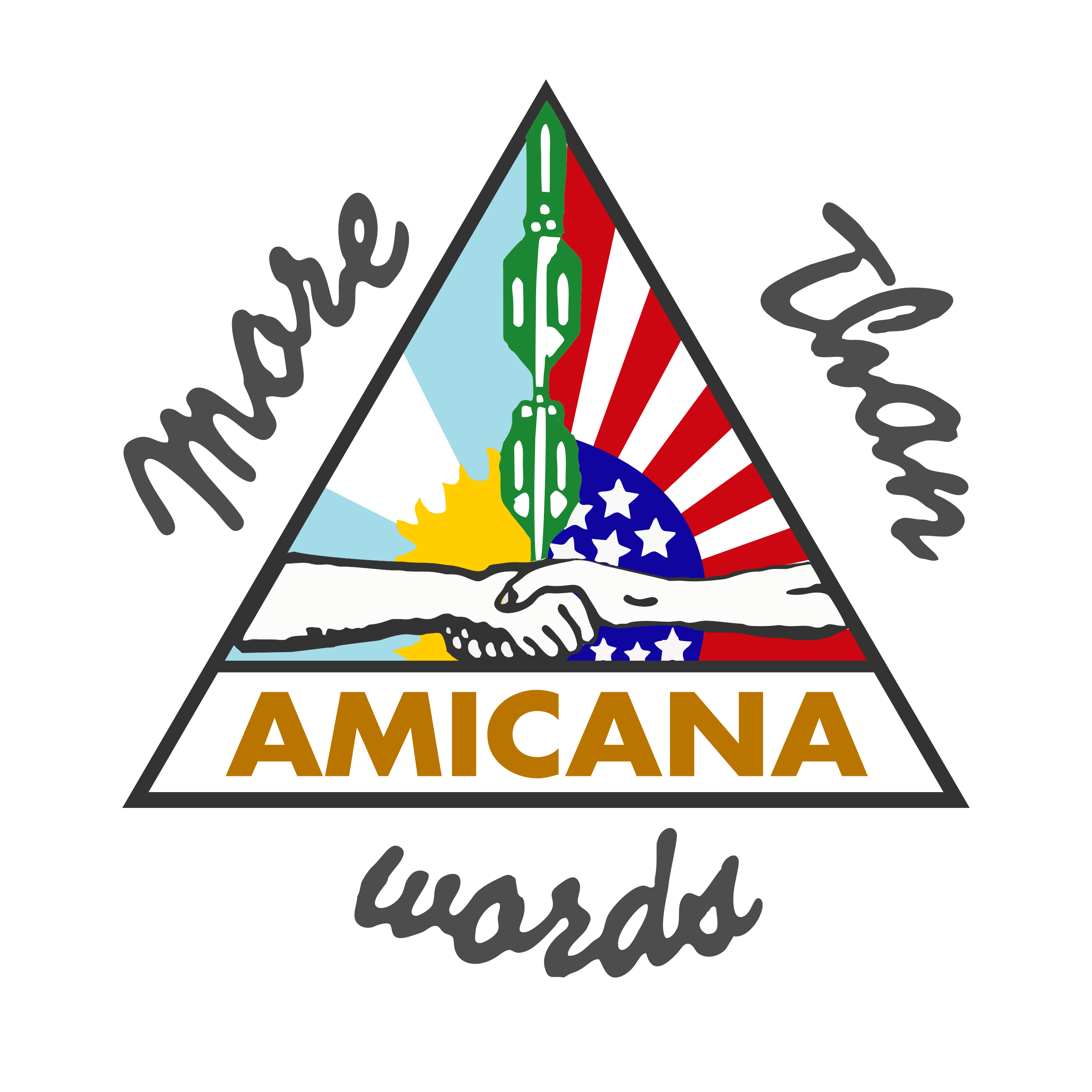 amicanas logo